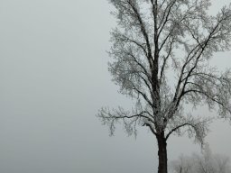 2025 Neujahrstauchen
